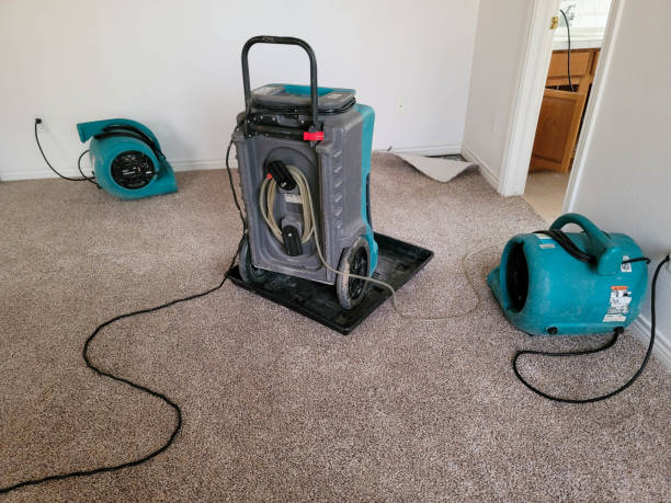 Best Professional water damage repair  in The Pinery, CO
