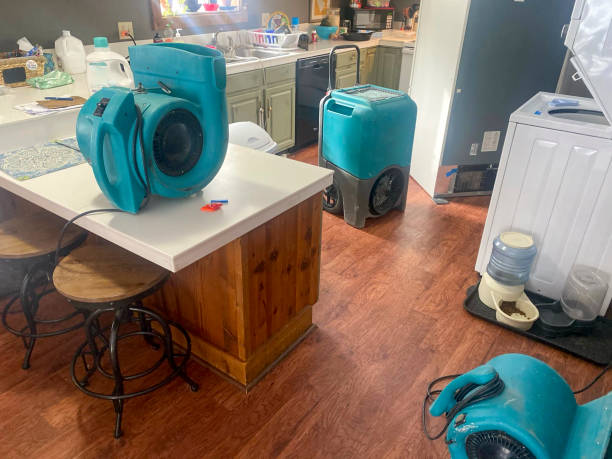 Best Water damage restoration near me  in The Pinery, CO