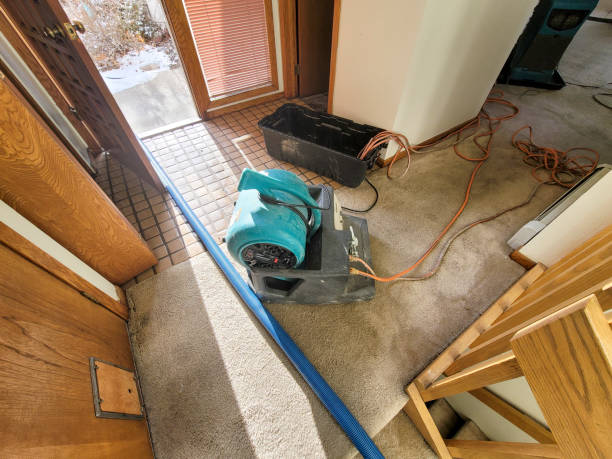 Best Residential water damage restoration  in The Pinery, CO