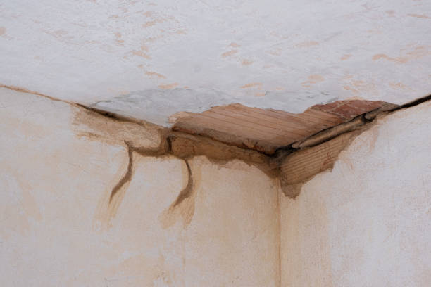 Reliable The Pinery, CO Water damage restoration Solutions