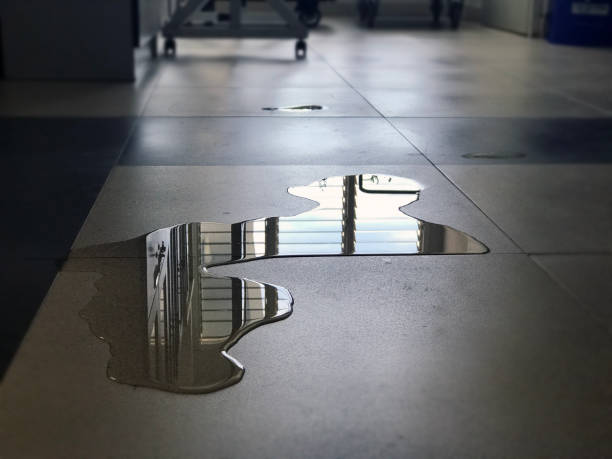 Best Commercial water damage restoration  in The Pinery, CO